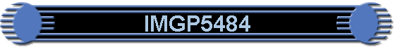 IMGP5484