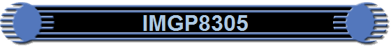 IMGP8305