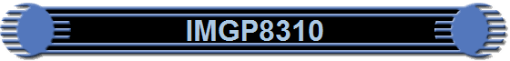 IMGP8310