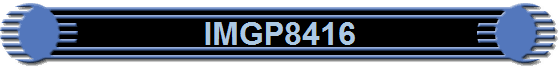 IMGP8416