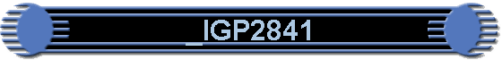 _IGP2841