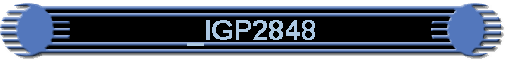 _IGP2848